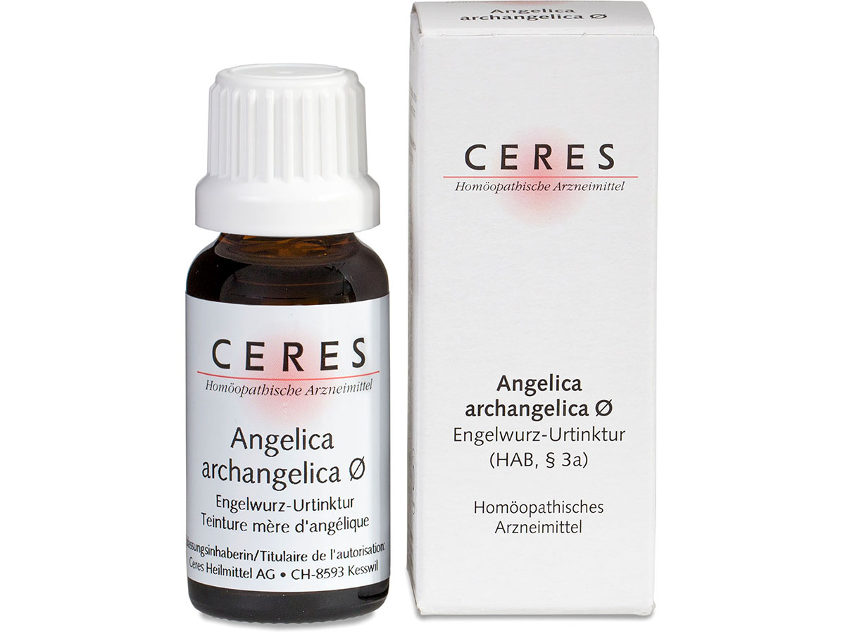 Packshot_Ceres_Angelica-archangelica_ebi-online-web