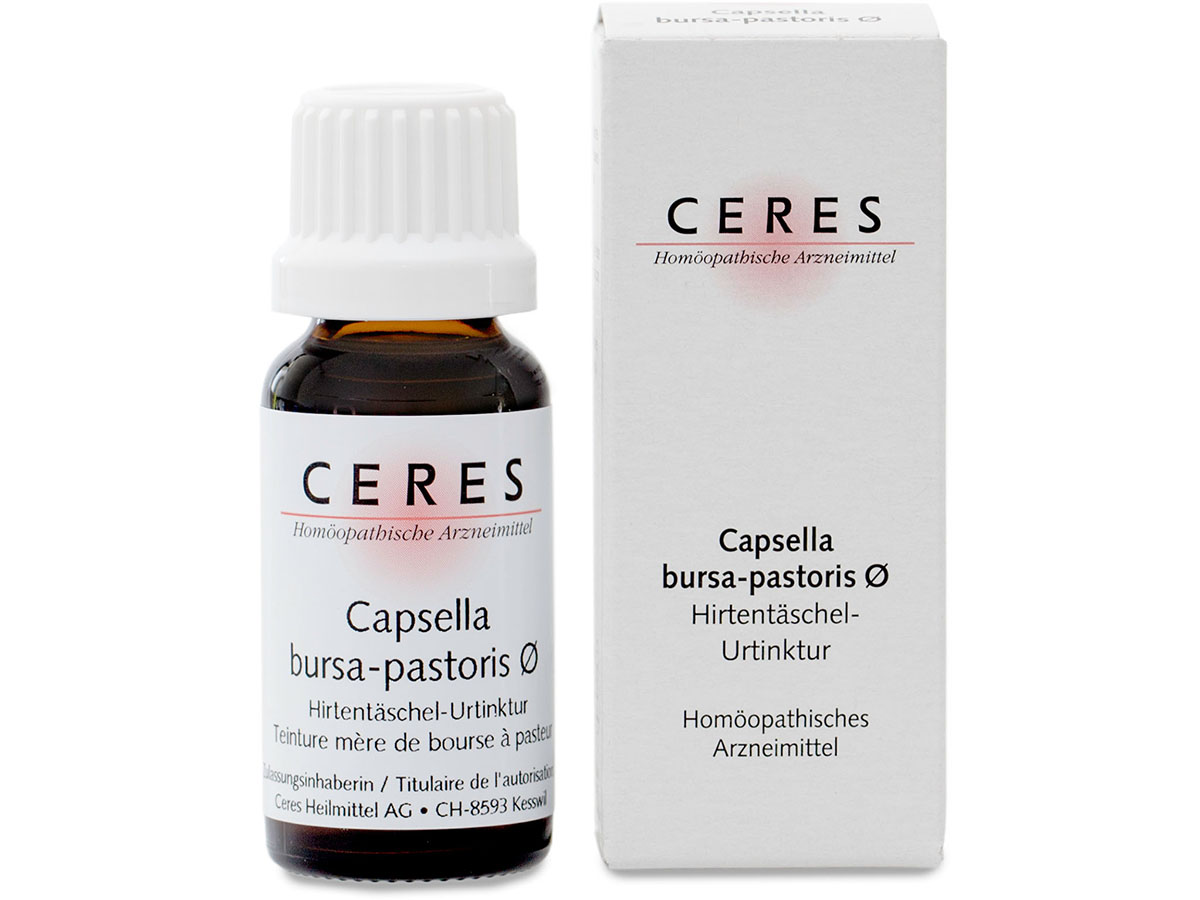 Packshot_Ceres_Capsella-bursa-pastoris_ebi-online-web