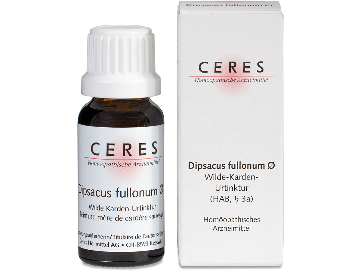 Packshot_Ceres_Dipsacus-fullonum_ebi-online-web