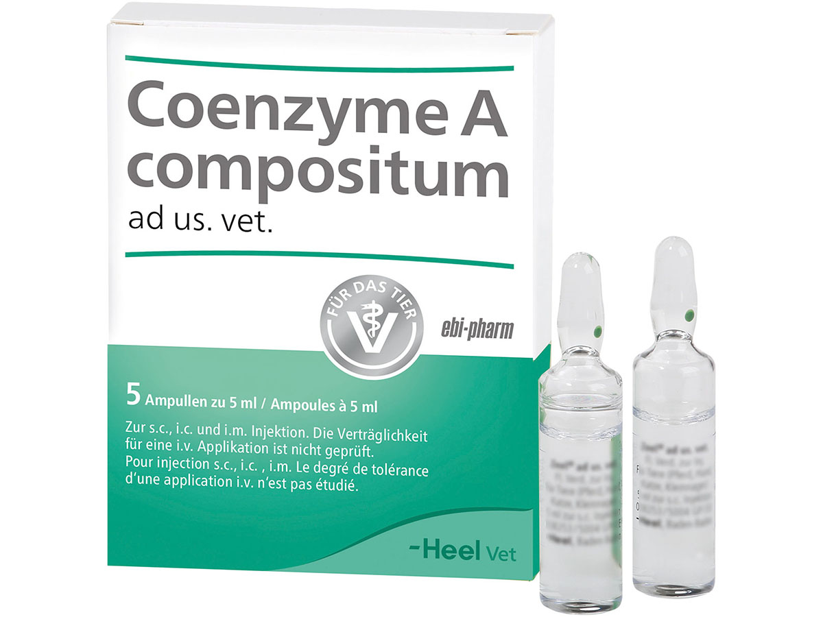 Packshot_Coenzyme_ad_us_vet_Ampullen_5_ebi-online-web